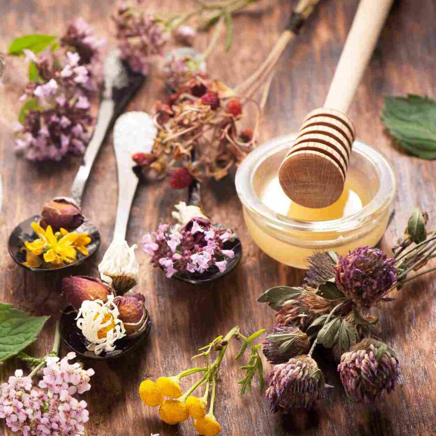 بهترین ترکیب عسل با گیاهان دارویی برای درمان سرماخوردگی