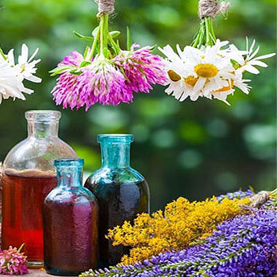 روش تهیه دمنوش خانگی با گیاهان طبیعی